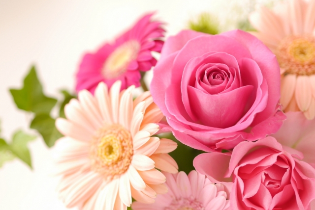 【夢占い】花は女性的エネルギーや恋愛の象徴！種類や色によっても意味が変わる！