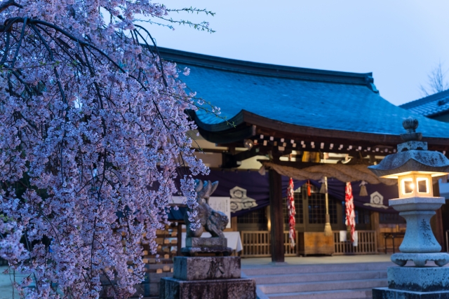 神社の桜や花が印象的な夢占い