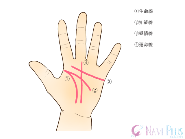 手相はなぜ当たるのか 手相占いの基本から自分で読み解く方法 当たる手相占い師の体験談まで 電話占いナビプラ